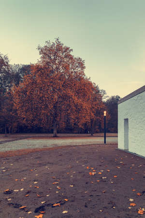 Altenberg Abbey, autumnal monastery park.の写真素材