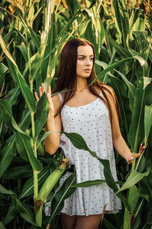 Young beautiful woman in white dress in corn field.の写真素材