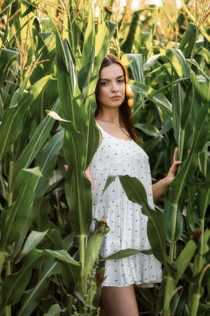 Young beautiful woman in white dress in corn field.の写真素材