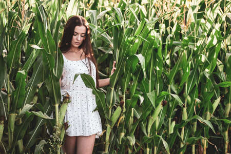 Young beautiful woman in white dress in corn field.の写真素材