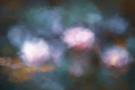 Abstract blurred background, blurred background effect.