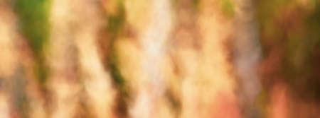 Surreal Blurred Abstract Art Colorful Backgroundの写真素材