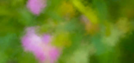 Surreal Blurred Abstract Art Colorful Backgroundの写真素材