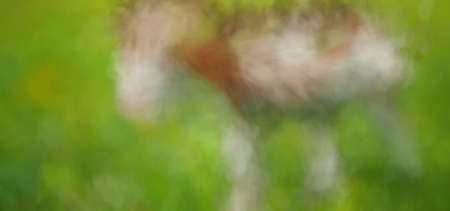 Surreal Blurred Abstract Art Colorful Backgroundの写真素材