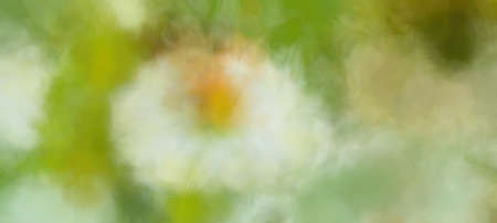 Surreal Blurred Abstract Art Colorful Backgroundの写真素材