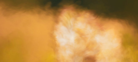 Surreal Blurred Abstract Art Colorful Background