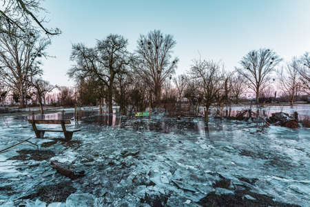 Frozen fields after flooding in DÃ¼sseldorf, Germany.の写真素材