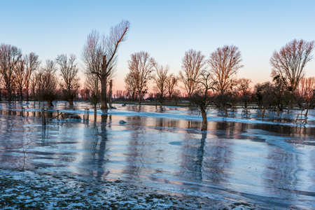 Frozen fields after flooding in DÃ¼sseldorf, Germany.の写真素材