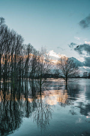 Flood on the Rhine near Cologne, Germany.の写真素材