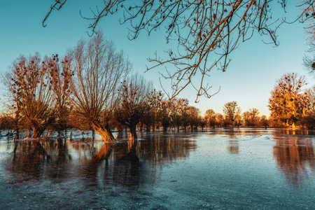 Frozen fields after flooding in DÃ¼sseldorf, Germany.の写真素材