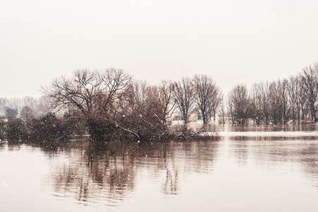 Flood on the Rhine near Cologne in winter, Germany.の写真素材