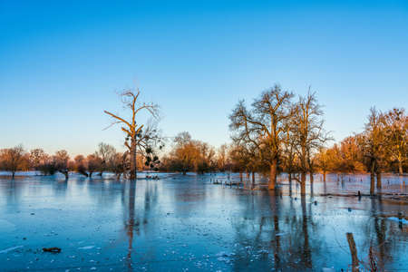 Ice covered field after a flood and frosty night, DÃ¼sseldorf Germany.の写真素材