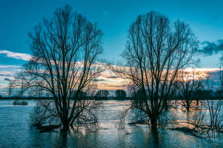 Flood on the Rhine near Cologne, Germany.の写真素材