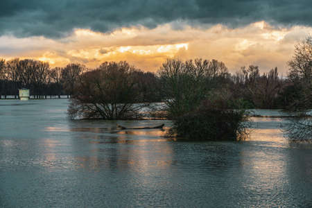 Flood on the Rhine near Cologne, Germany.の写真素材
