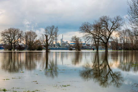 Flood on the Rhine, Germany. Chempark Dormagen in the background.の写真素材