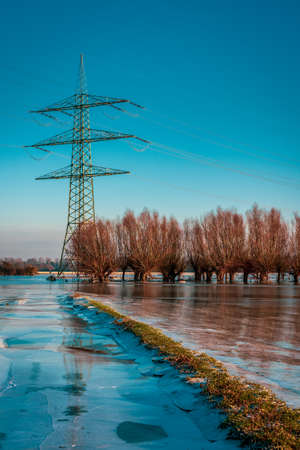 frozen field and trees after flooding, Germany,の写真素材