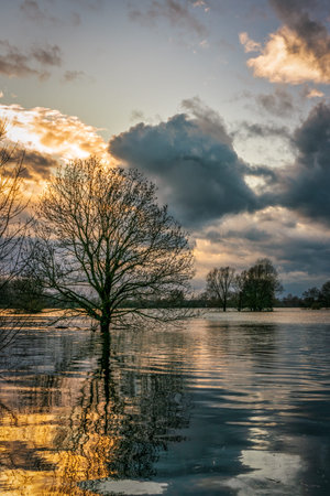 Flood on the Rhine between Cologne and Leverkusen, Germany.