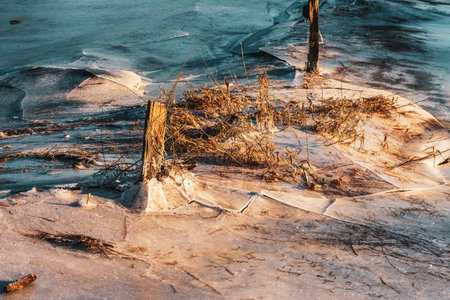 frozen field and trees after flooding, Germany,の写真素材