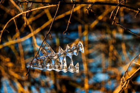 icicles illuminated with sun raysの写真素材