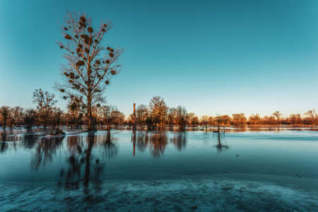 Frozen fields after flooding in DÃ¼sseldorf, Germany.の写真素材