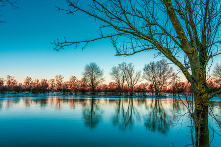 Ice covered field after a flood and frosty night, DÃ¼sseldorf Germany.