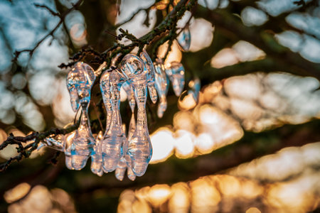 icicles colored by sunlightの写真素材