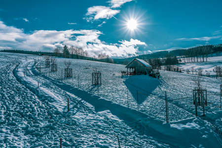 Agricultural game keeping in winter.の写真素材