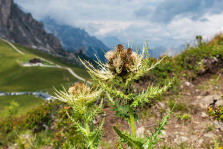 The Giau Pass, South Tyrol. (Passo di Giau)の写真素材