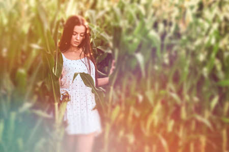 Young beautiful woman in white dress in corn field. Surreal blurry portraitの写真素材