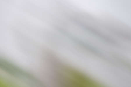 Abstract blurred background, blurred background effect.の写真素材