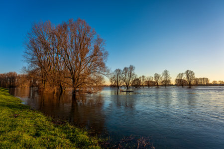 Flood on the Rhine near Leverkusen, Germany.の写真素材