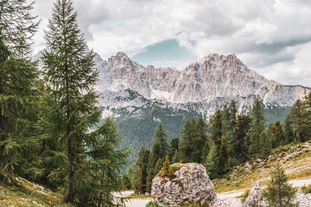 panoramic view of the forests and mountains of the Dolomites, Italy.の写真素材
