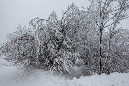 Winter landscape in the Erzgebirge, Germany