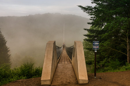View of a suspension bridge in Germany, Geierlay.