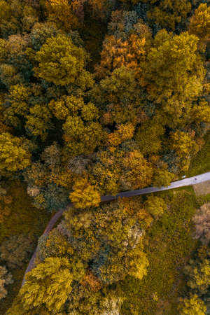 Drone photography, Aerial view forest in autumn.の写真素材