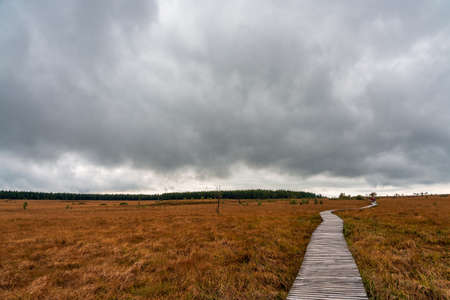 Walker in nature reserve High Fens, Belgium.の写真素材