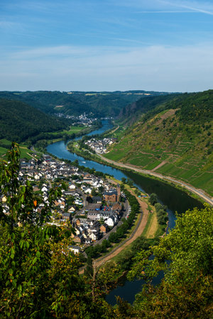 Panoramic view of the Moselle vineyards, Germany.