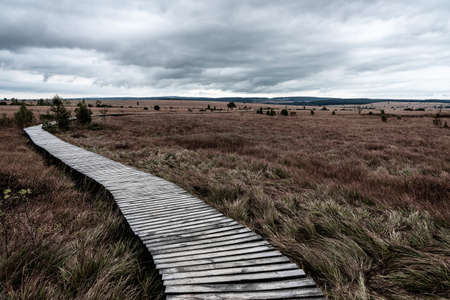 Wooden path in Eifel nature park Hohes Venn.の写真素材