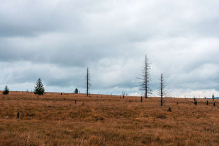 Panorama of the High Fens in autumn, Belgium.の写真素材