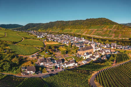 Panoramic view of the Moselle vineyards near Bruttig-Fankel, Germany. Created from several images to create a panorama image.のeditorial素材