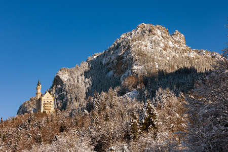 Panoramic view of Neuschwanstein Castle in winter. Germany, Bavaria.のeditorial素材