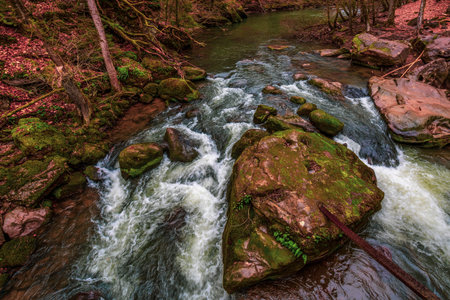 The Irrel waterfalls of the PrÃ¼m. The rapids in the lower reaches of the PrÃ¼m near Irrel in...
