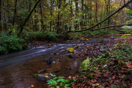 autumn in the parkの写真素材
