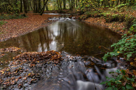 autumn, river in the forestの写真素材