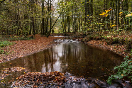 woods in autumn, river at long exposureの写真素材