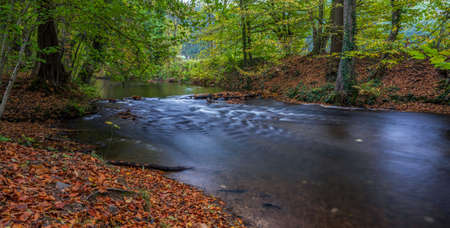 river in the forestの写真素材
