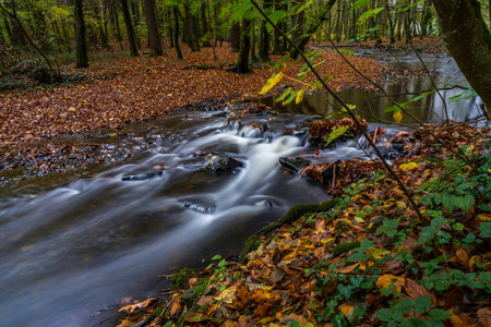 autumn in the parkの写真素材