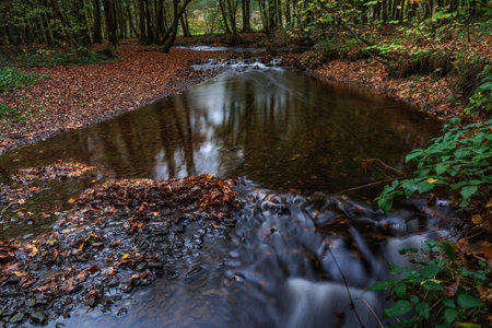 autumn in the parkの写真素材