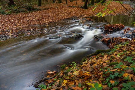 autumn in the parkの写真素材