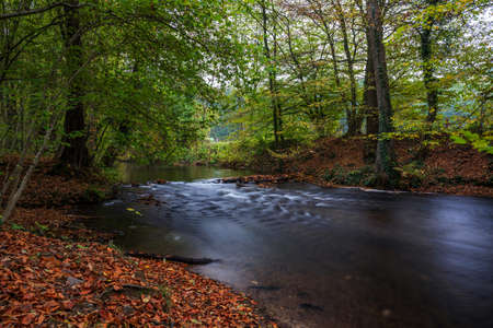 river in the forestの写真素材